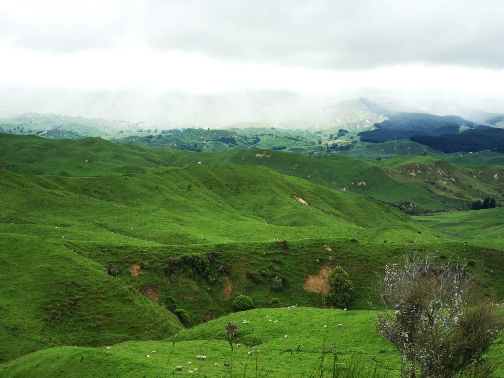 Driving an EV in New Zealand is Easy & Enjoyable (part 2-2)